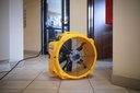 Wentylator Master DFX 20