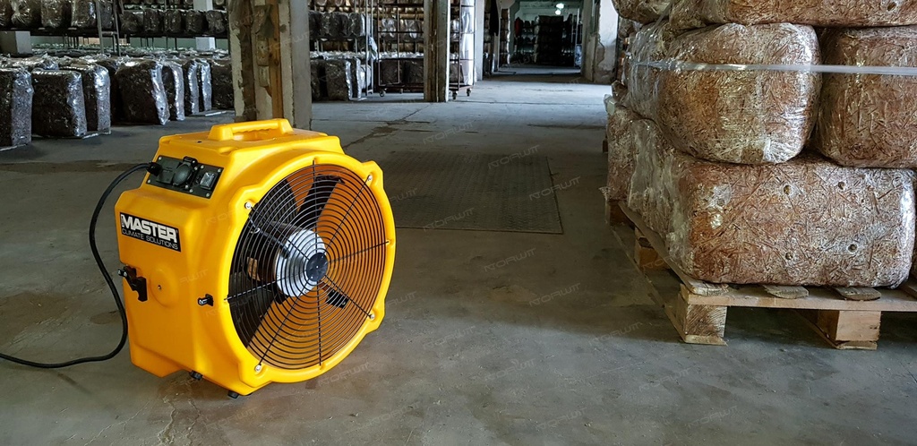 Wentylator Master DFX 20